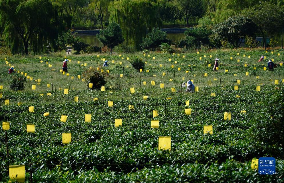 bet欧洲官网